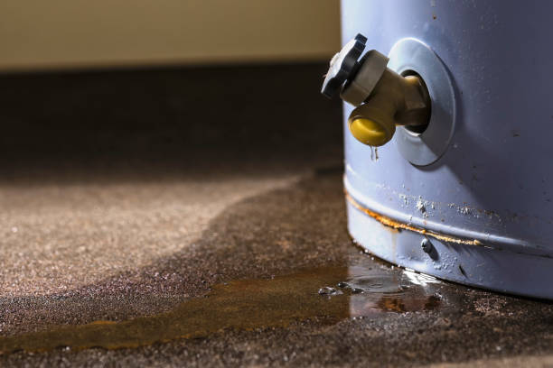 Best 24/7 water damage repair  in Apache Junction, AZ