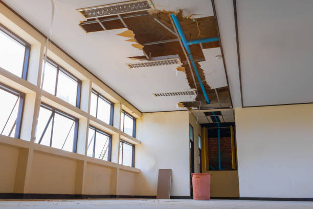 Best Flooded house restoration  in Apache Junction, AZ