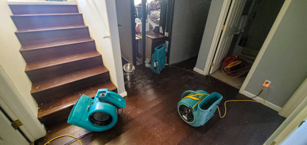 Best Water damage cleanup near me  in Apache Junction, AZ