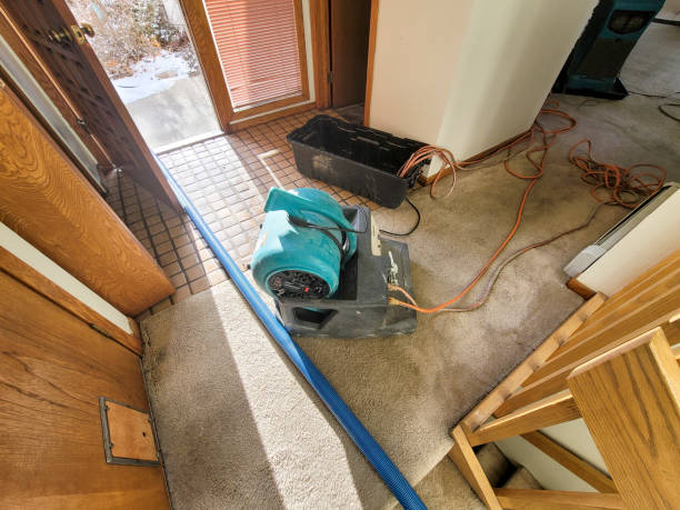 Best Residential water damage restoration  in Apache Junction, AZ