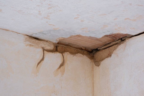 Best Water damage restoration insurance claims  in Apache Junction, AZ