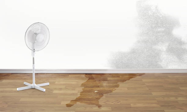  Apache Junction, AZ Water damage restoration Pros