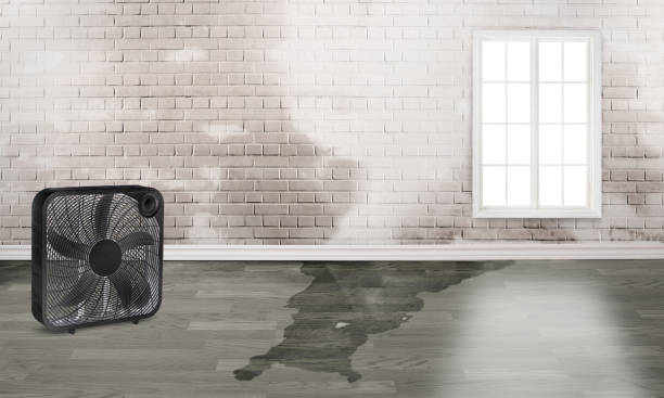 Best Emergency water damage restoration  in Apache Junction, AZ