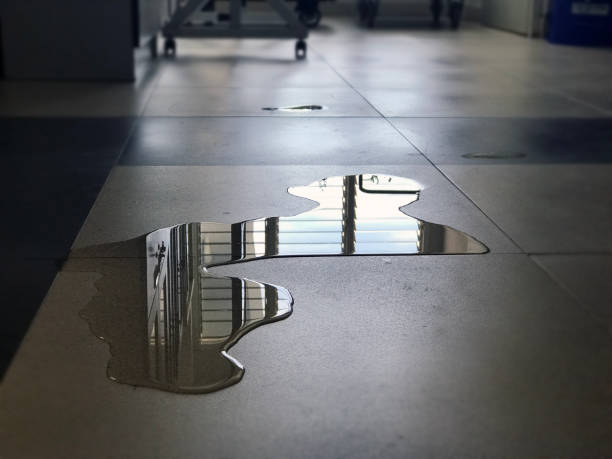 Best Flood restoration services  in Apache Junction, AZ