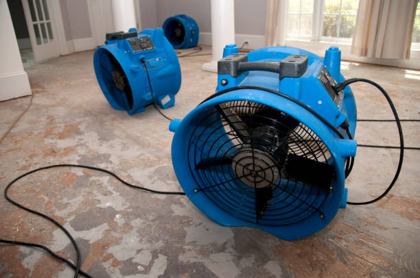 Best Local water damage restoration  in Apache Junction, AZ