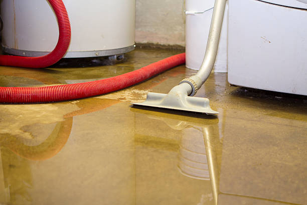 Best Carpet water damage restoration  in Apache Junction, AZ