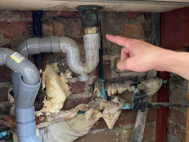 Best Water damage contractors near me  in Apache Junction, AZ