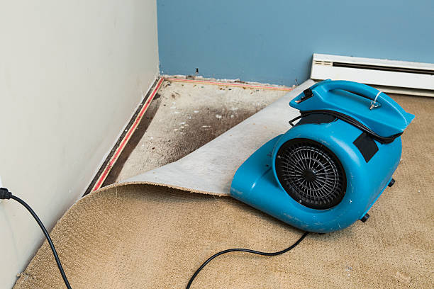 Best Flood damage cleanup  in Apache Junction, AZ